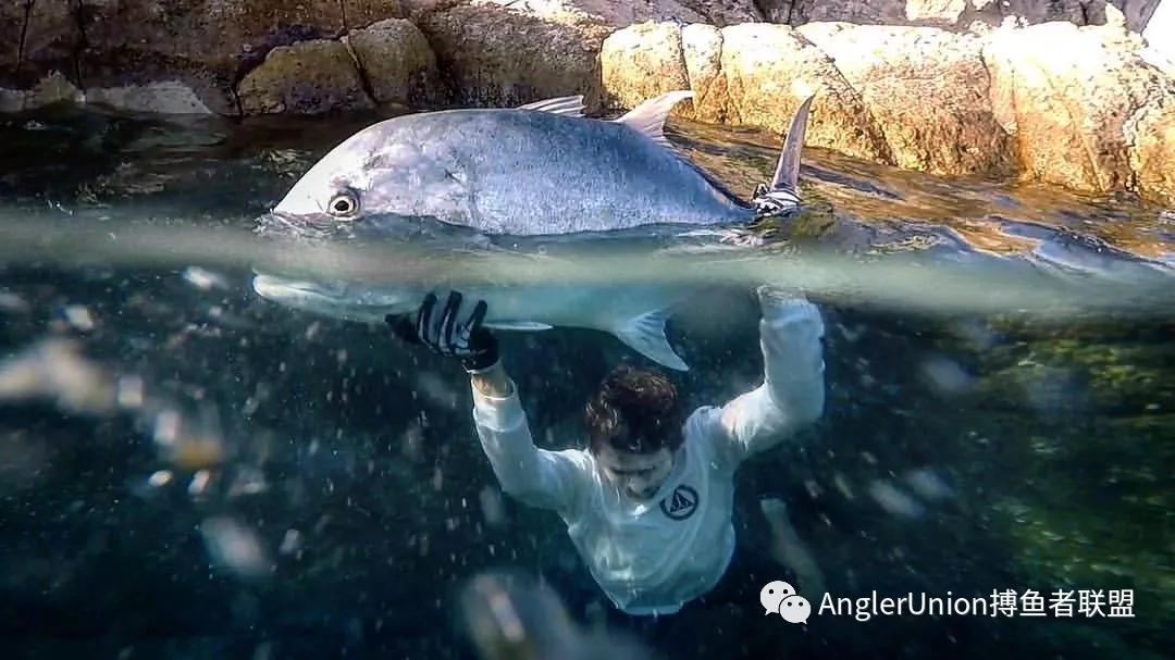 海洋猛兽牛港鲹珍鲹gt丨海钓爱好者最爱的目标鱼之一