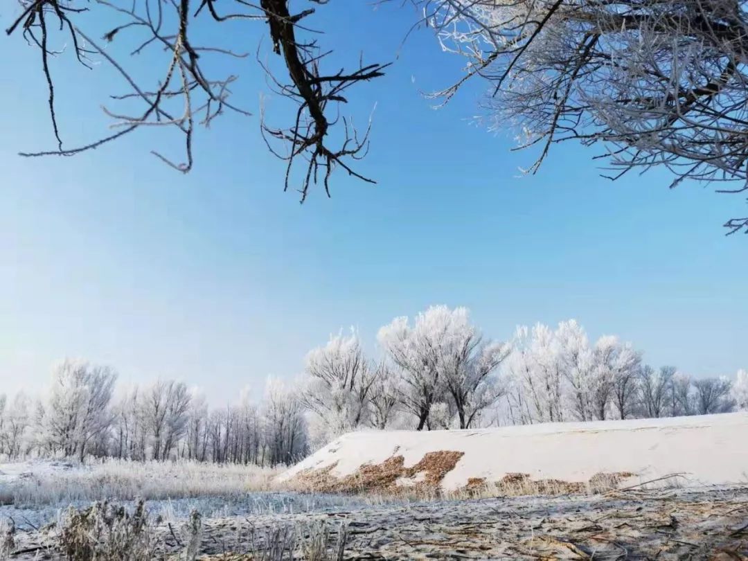 雪化完了?其实雪景一直都在