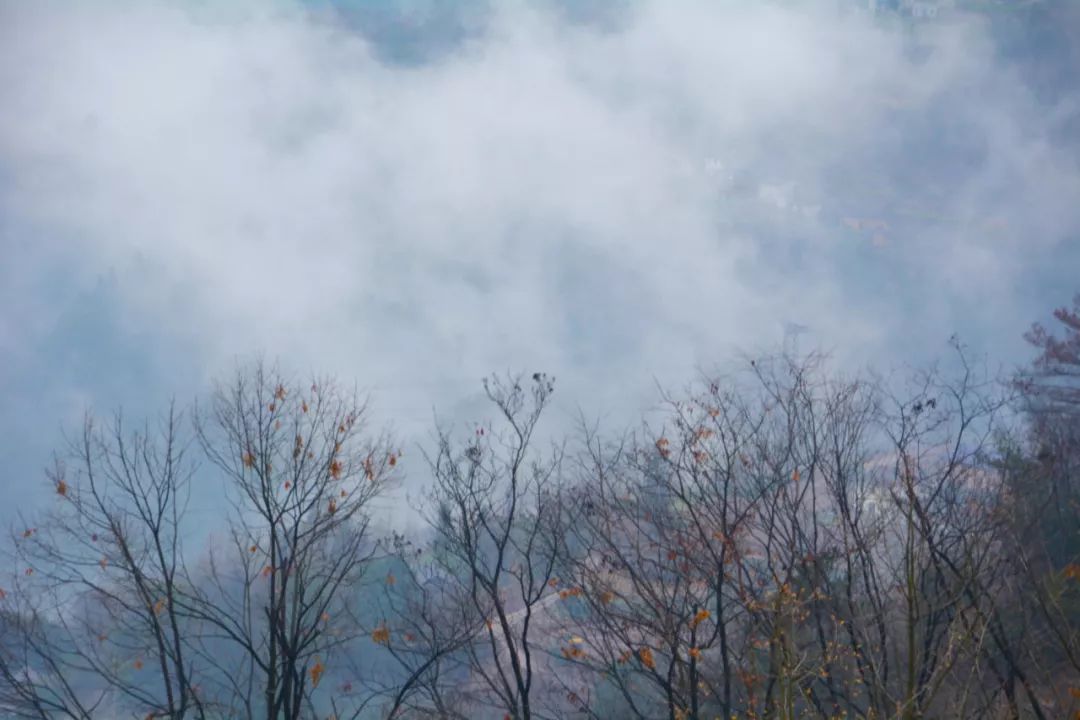 美景实拍丨雾中山景你不曾见过的模样