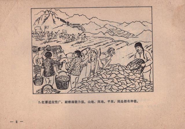 农业知识连环画消灭红薯黑癍病1979版