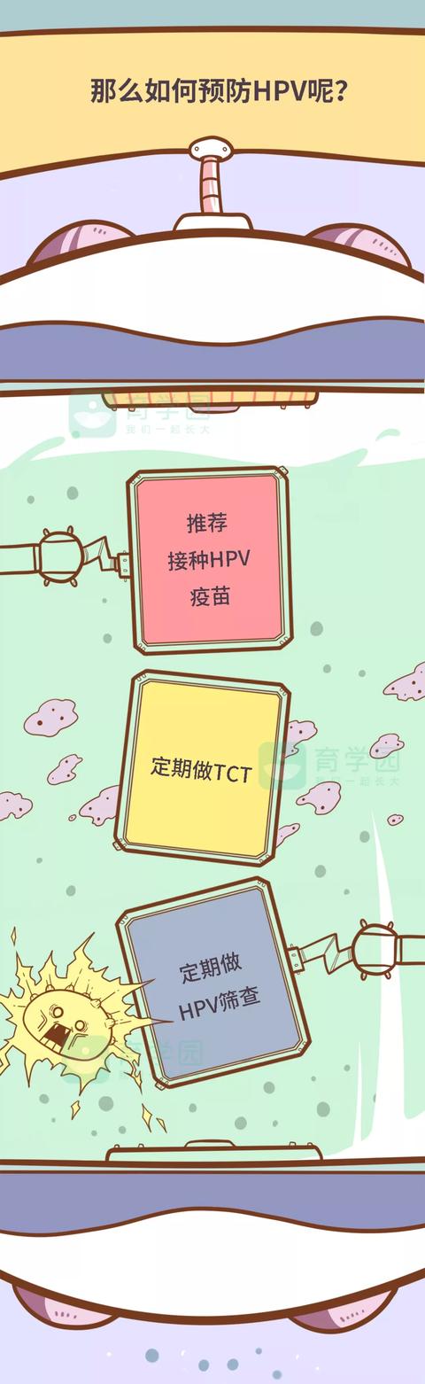 hpv疫苗能预防宫颈癌到底该不该打看完就懂了