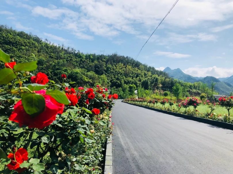 人民日报点赞龙溪乡始丰源村并村后的创新发展