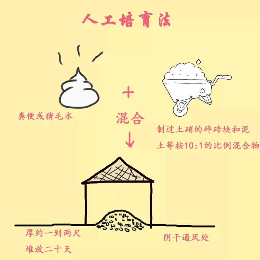 产物纯度高,加之运输成本降低等因素,硝洞遗址所产土硝失去竞争力