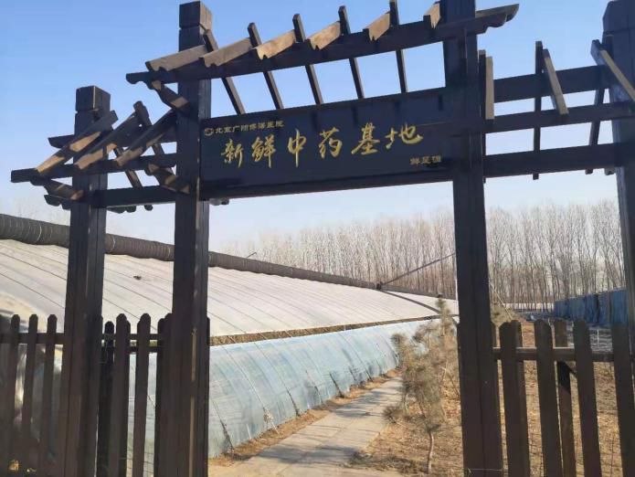 等节目邀请鲜药基地首席新鲜中药应用专家,北京中医药大学博士,中国