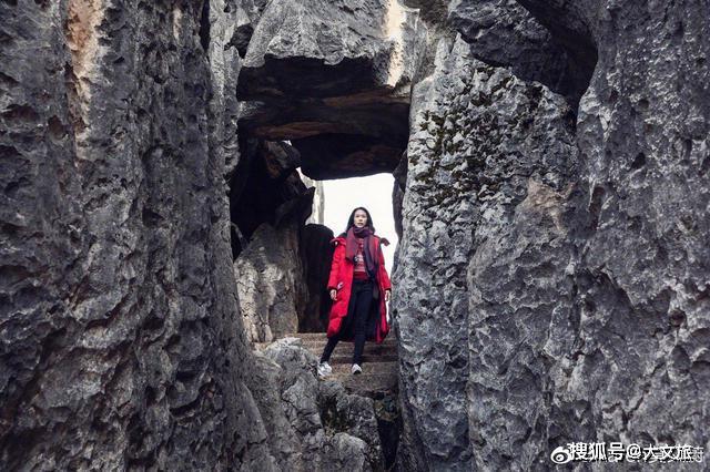 莫文蔚海埂大坝喂鸥还去了翠湖和石林