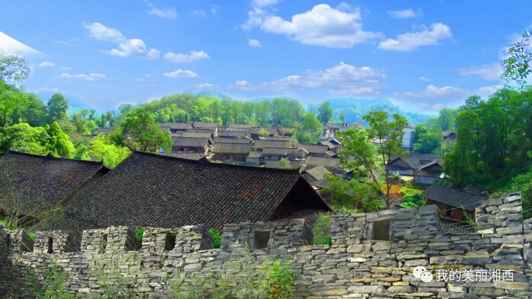 美丽乡村作品展播之二十六油麻苗寨春光无限别样红