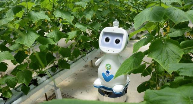 5g来了农业会是什么样子