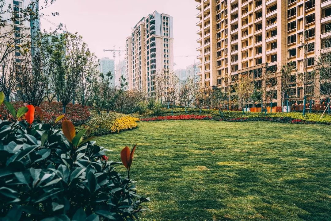 滨湖万丽最好的礼物丨一切美好终将相遇