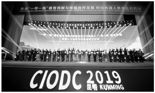 转直挂云帆济沧海中国器官移植事业走向世界舞台中央