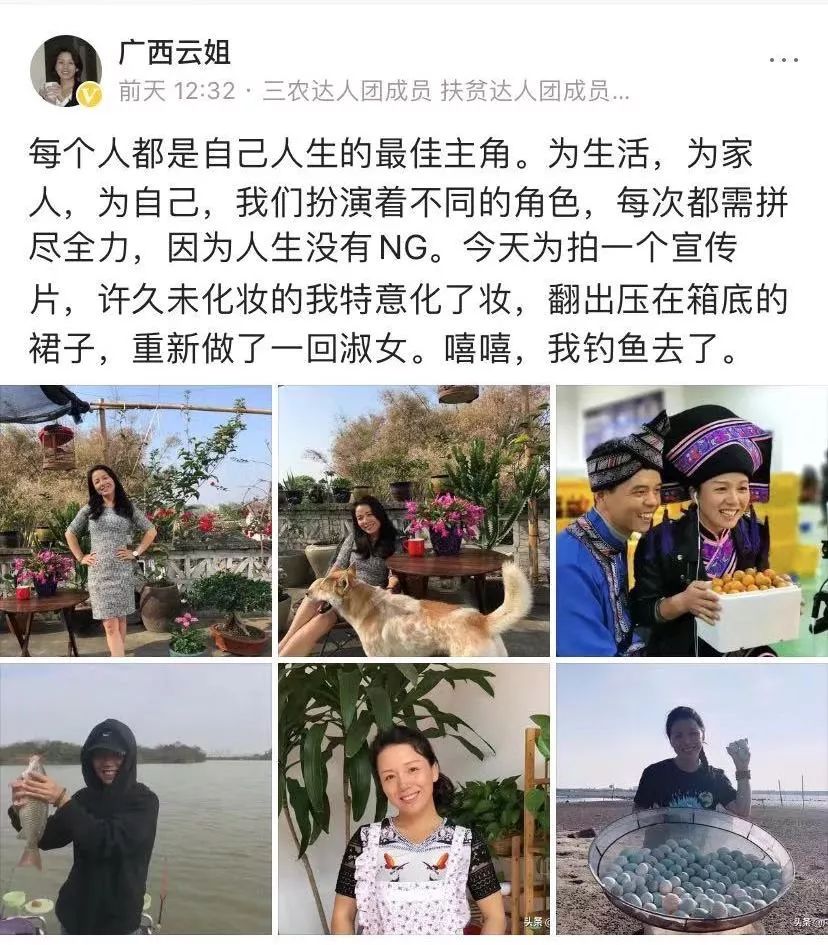 紅是李子柒們的斑斕色彩黑是三農階層躍遷的因果