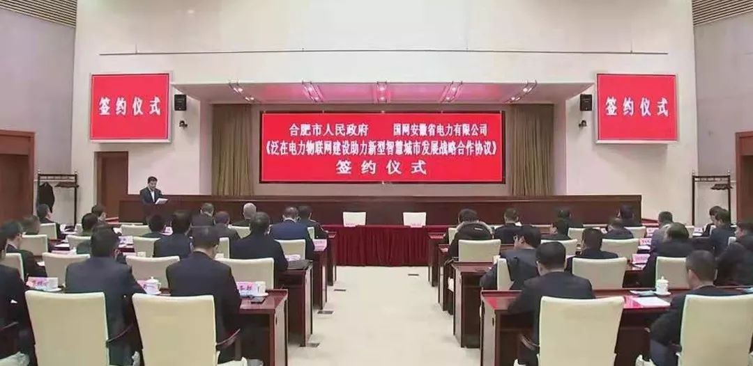 及市政府秘书长罗平;省电力公司董事长,党委书记陈安伟;总经理张凡华