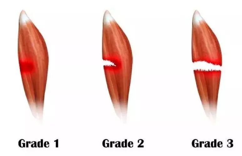 女人尖叫,男人想要的放松神器!_肌肉