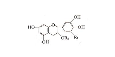 cas号:84650-60-2分子式:c17h19n3o茶多酚绿茶中茶多酚含量较高,占其