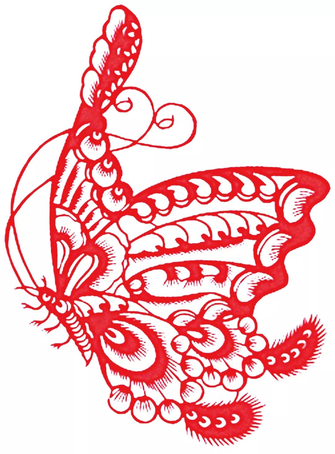 蝴蝶剪纸蝴蝶鳞片蝴蝶被誉为天然的艺术品,色彩斑斓,婀娜多姿,不断