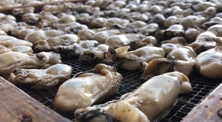 中国蚝乡——阳西程村镇红光村03jiangyang"盖苏文":阳江民间传说与高