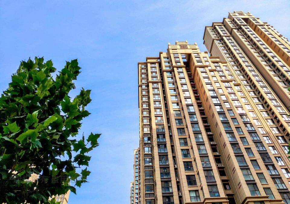 网友:天天吵死了!_楼层