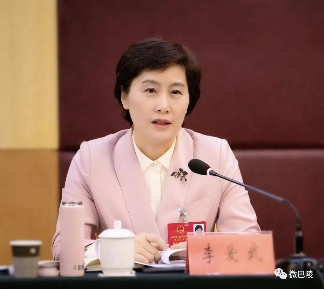 李爱武参加岳阳县代表团讨论时强调:放大优势 做好北向融城文章