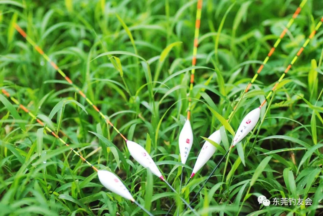 浮标调钓过程中都有哪些容易被忽视的陷阱呢如何尽量避免