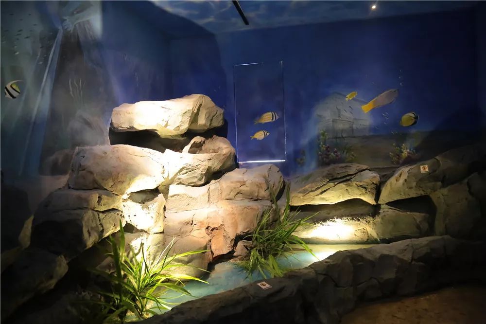 桐乡首家动物园来了!从沙漠,海洋,丛林.