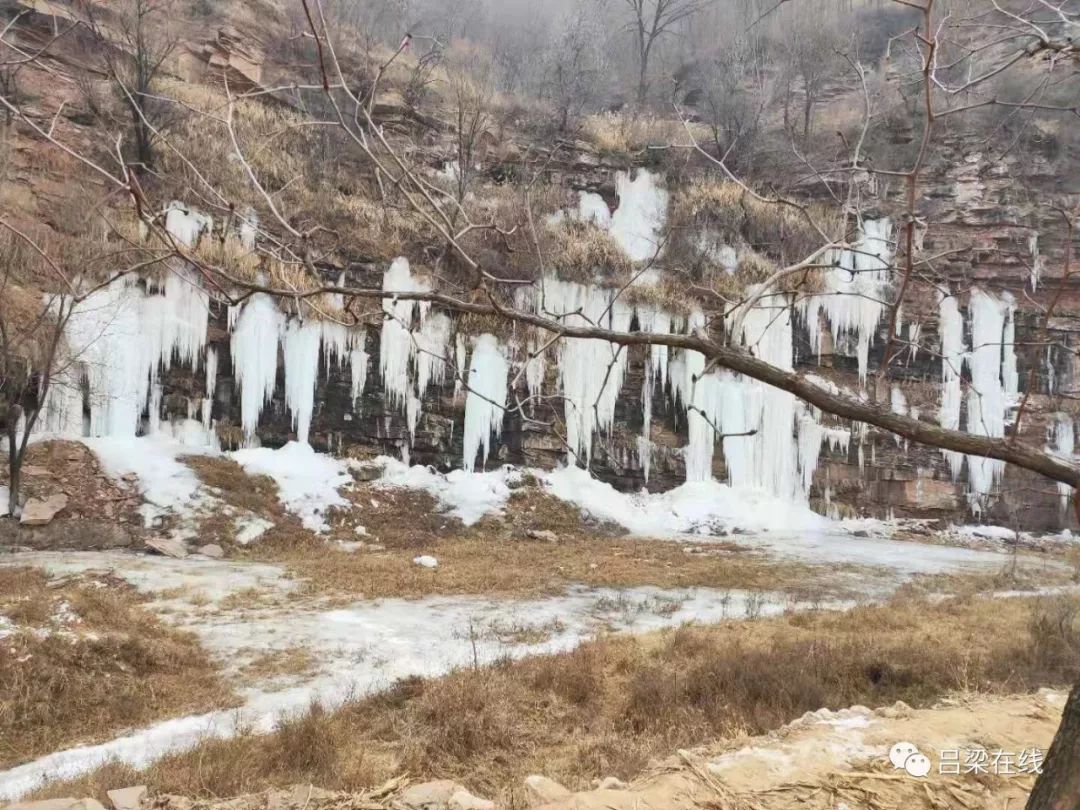 不及待的这个周六形成了"冰挂"美景吕梁市柳林县北辛安村的一处峭壁上