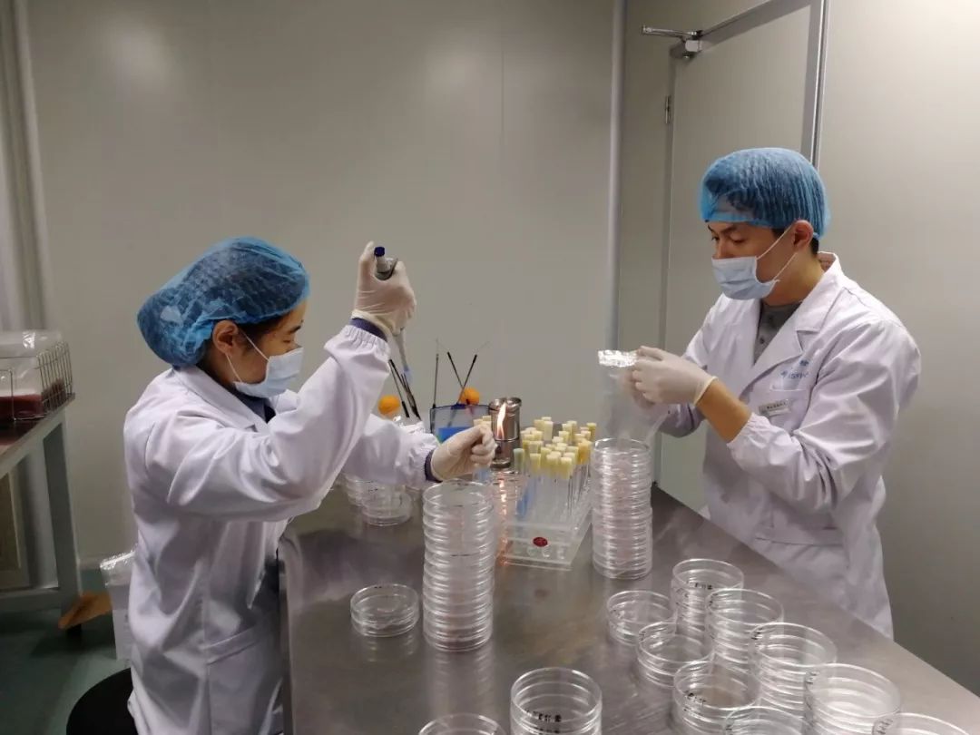 草莓该怎么洗看完这个实验发现原来一直都洗错了