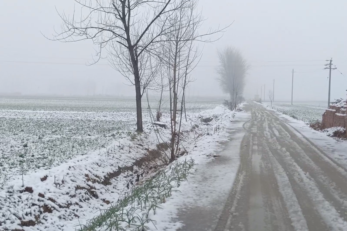 河南农村雪景图片