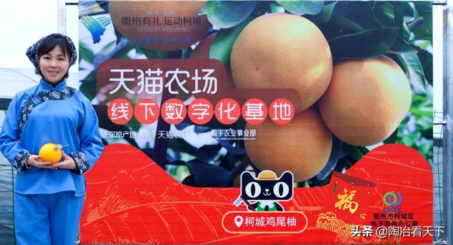 当天猫农场遇上开心农场结局亮了7亿网友重拾偷菜记忆