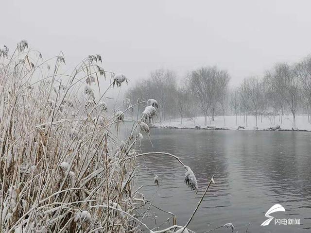 湖泊与雪景交相辉映 雪后的聊城清泉河美不胜收_冠县