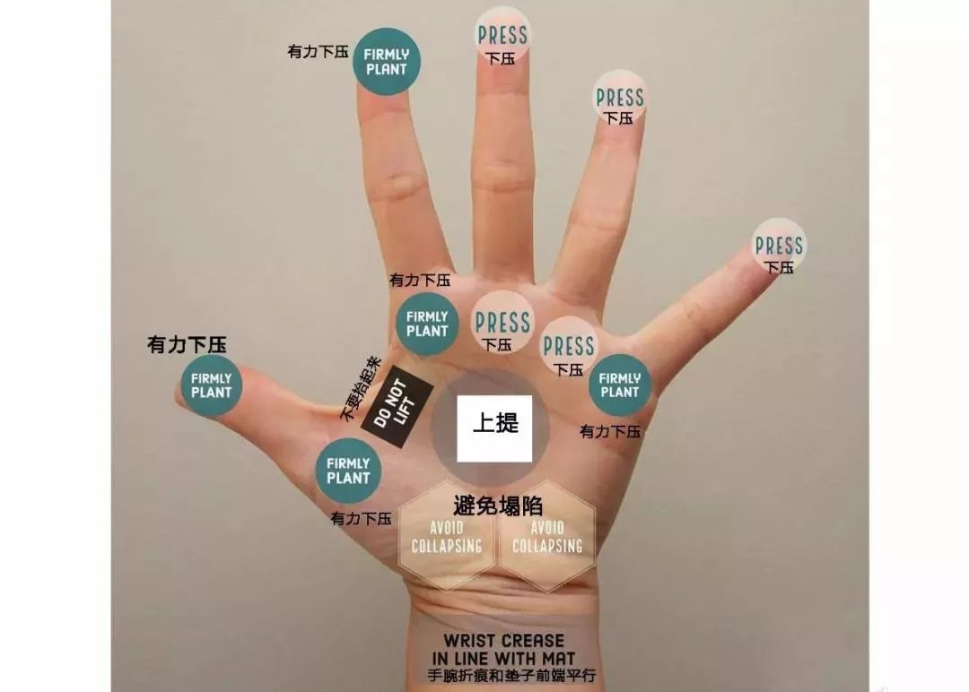 下面跟瑜伽人小编来看看正确的手掌发力示意图:所以,当刚开始练习瑜伽