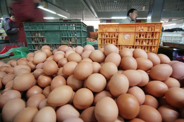 绿壳鸡蛋市场行情如何 绿壳蛋市场价是多少