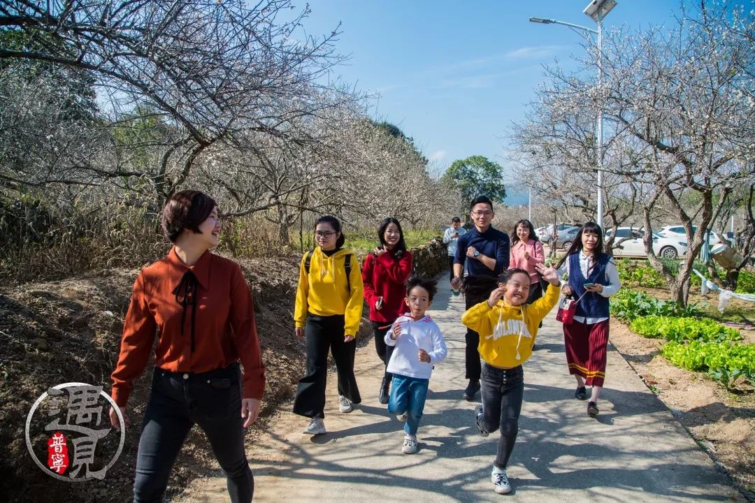 遇見普寧高埔龍堀梅園