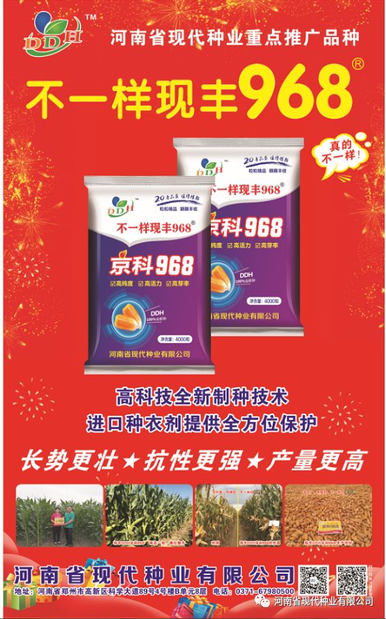 爆品968-- 燃爆你的朋友圈