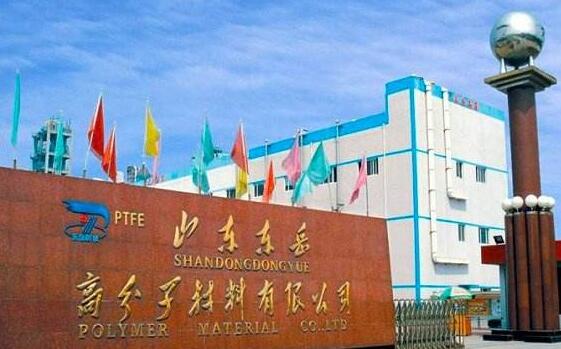 东岳高分子公司,东岳化工公司将5亿元存到交行市北一支行保证金账户后