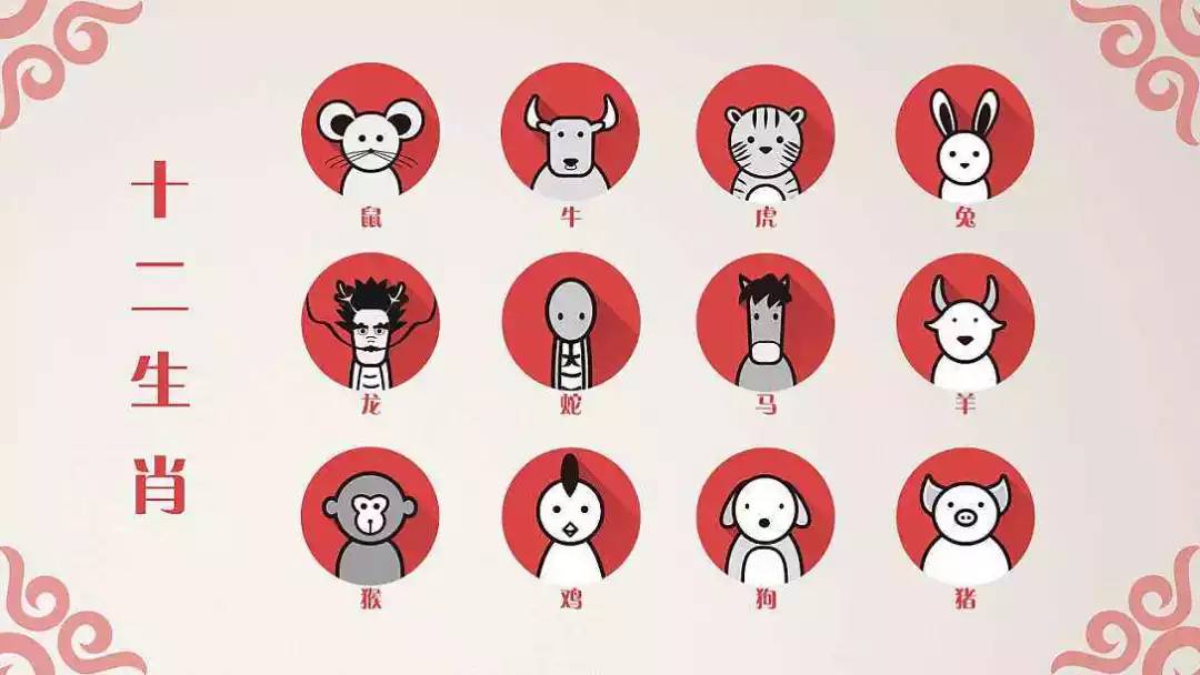 中国的十二生肖传入越南后,越南有了猫年_动物界