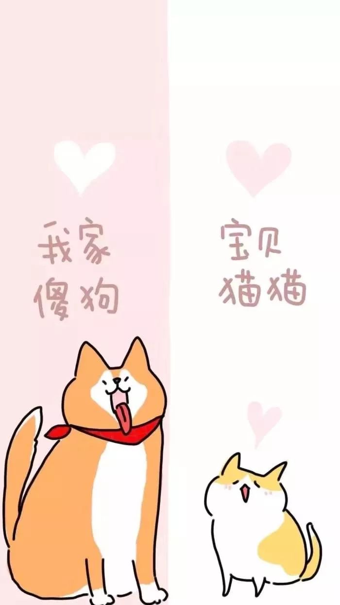 聊天背景