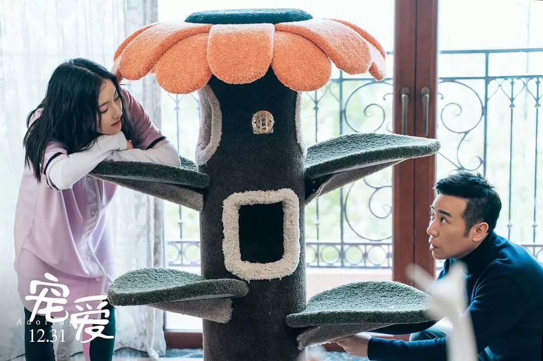 小叮当是第一个,一只猪.