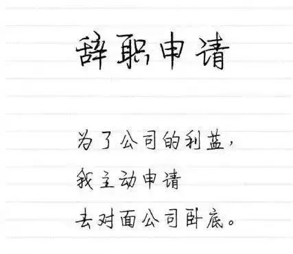 对不起我要辞职了