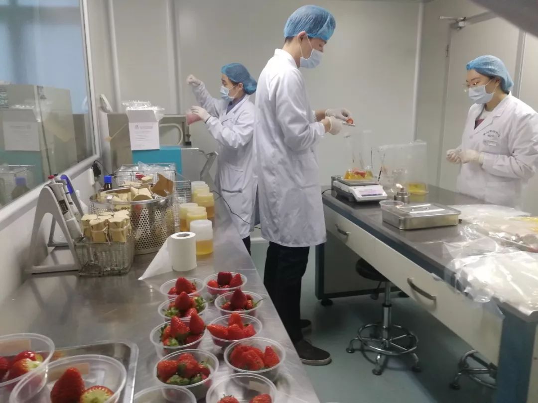 草莓该怎么洗看完这个实验发现原来一直都洗错了