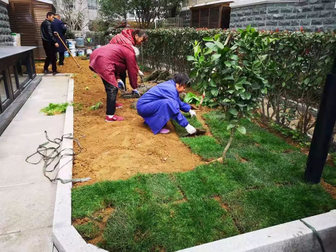 小区物业管理