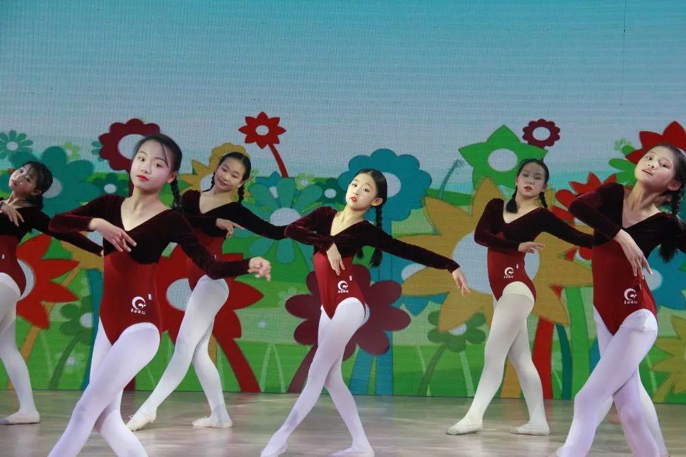 春苗舞蹈丨2019秋季教学成果汇报圆满成功