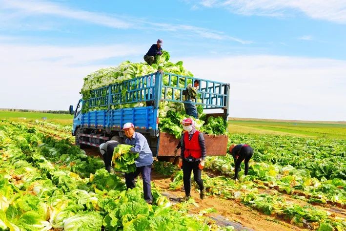 四好农村路助推扶贫产业旅游大发展