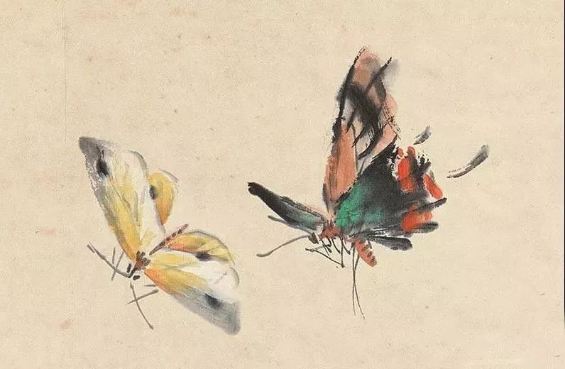王雪涛的蝴蝶画精品图片