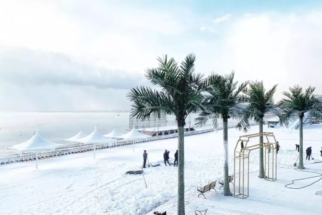 塔河湾冰雪嘉年华299元起抢全天通票含百米观海雪滑道五百平超大海景