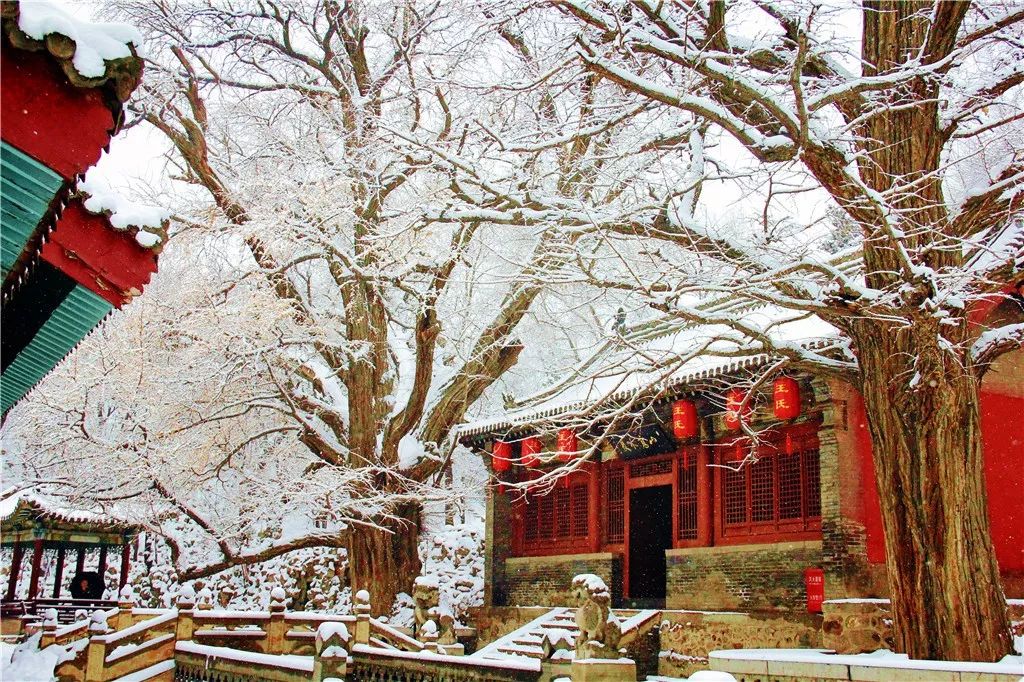 晋祠雪景2020年第一场雪中的盛装古祠