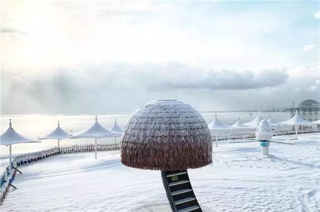 塔河湾冰雪嘉年华299元起抢全天通票含百米观海雪滑道五百平超大海景