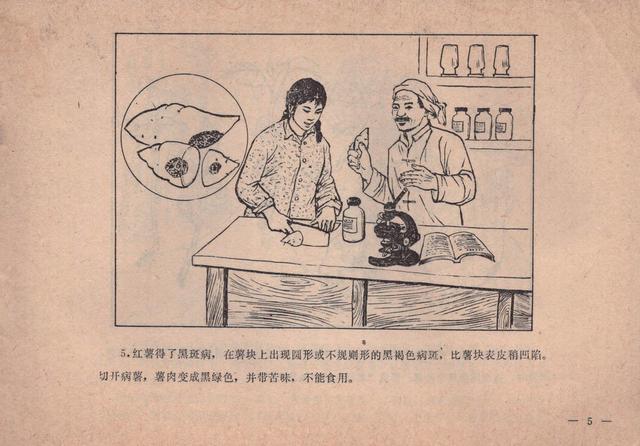 农业知识连环画消灭红薯黑癍病1979版