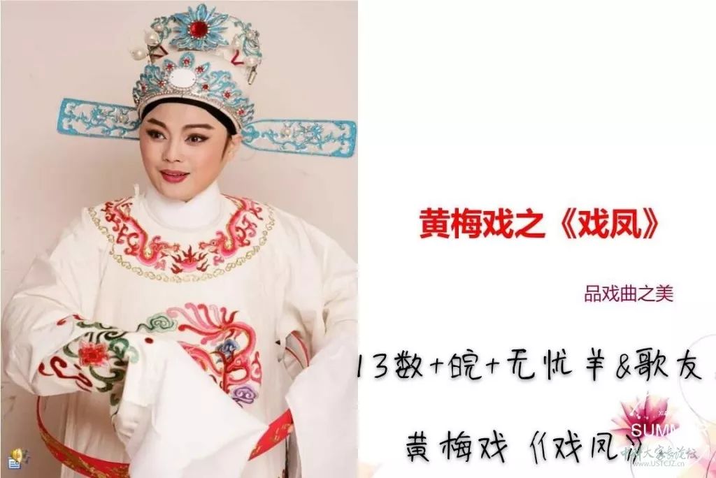 4,19化-皖-童心未泯:《鸾凤争鸣》)