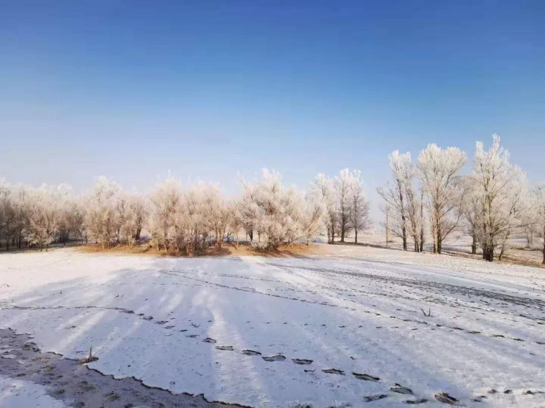 雪化完了?其实雪景一直都在