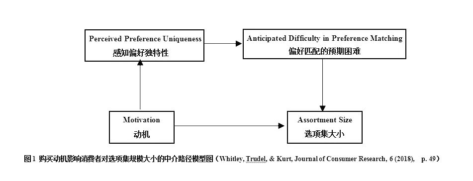 购买动机对选项集规模偏好的影响机制