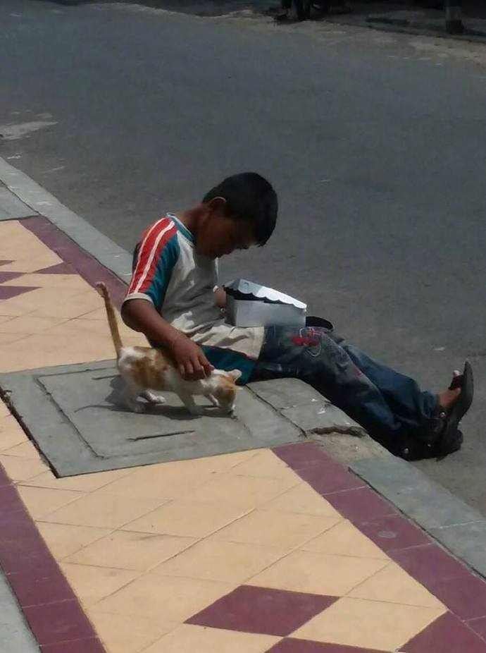 "超暖心男童"因分享自己的食物给流浪猫咪走红,网友:暖哭了!